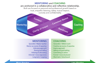 Visions in Mentoring in Induction Programs